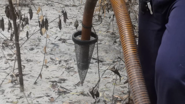 ขนย้ายกากสารเคมี​ลักลอบทิ้งป่าสระบุรี​ ไปกำจัดอย่างถูกวิธี​แล้ว​