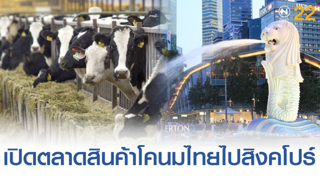‘พาณิชย์’ ปลื้มใช้ FTA ปูทางเปิดตลาดสินค้าโคนมไทยไปสิงคโปร์สำเร็จ