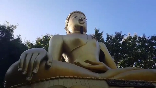 ผึ้งหลวงทำรังใต้คางพระพุทธรูปศักดิ์สิทธิ์ในวัด