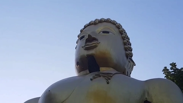 ผึ้งหลวงทำรังใต้คางพระพุทธรูปศักดิ์สิทธิ์ในวัด