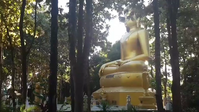 ผึ้งหลวงทำรังใต้คางพระพุทธรูปศักดิ์สิทธิ์ในวัด