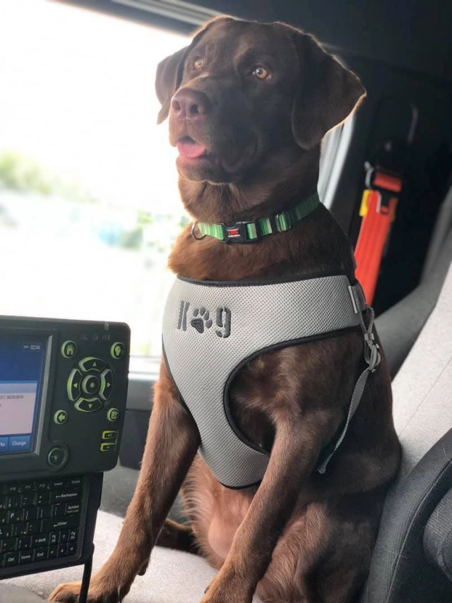 สาวร้อยเอ็ดสุดแกร่ง ขับรถส่งของทั่วอเมริกา ทำรายได้เกือบล้านต่อเดือน