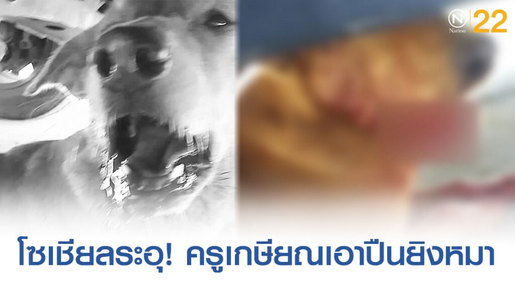 โซเชียลเดือด! ครูเกษียณยิงปากหมา โซเชียลเดือด! ครูเกษียณยิงปากหมา