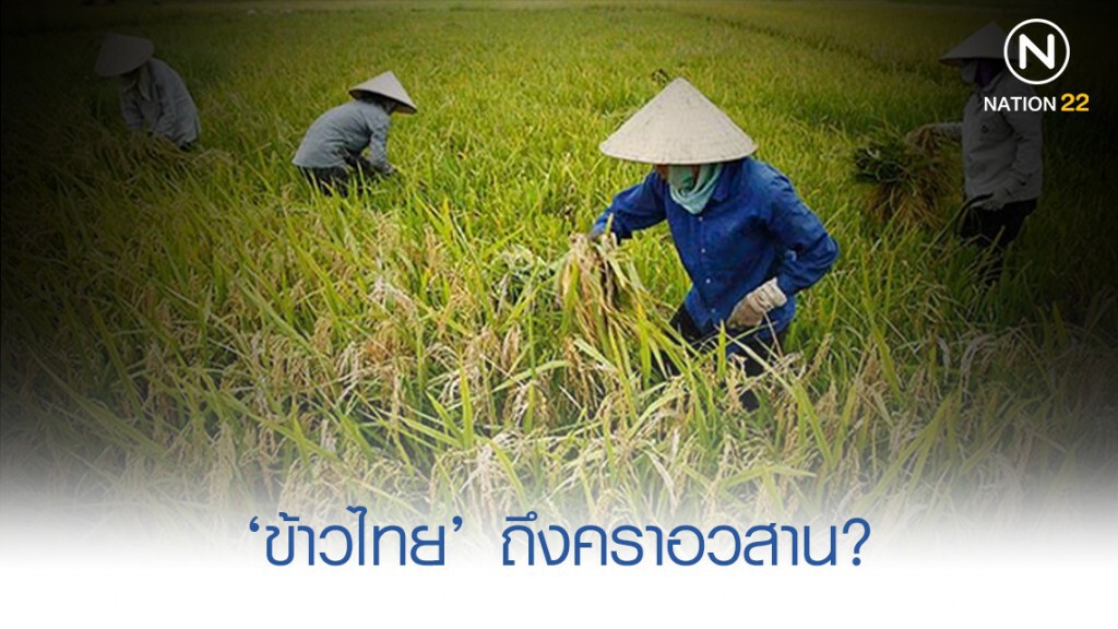 ส่งออก ‘ข้าวไทย’ ถึงคราอวสาน?