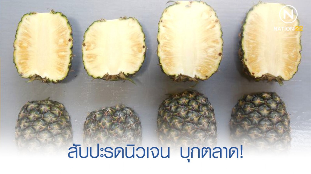 สับปะรดนิวเจน บุกตลาด! สับปะรดนิวเจน บุกตลาด!