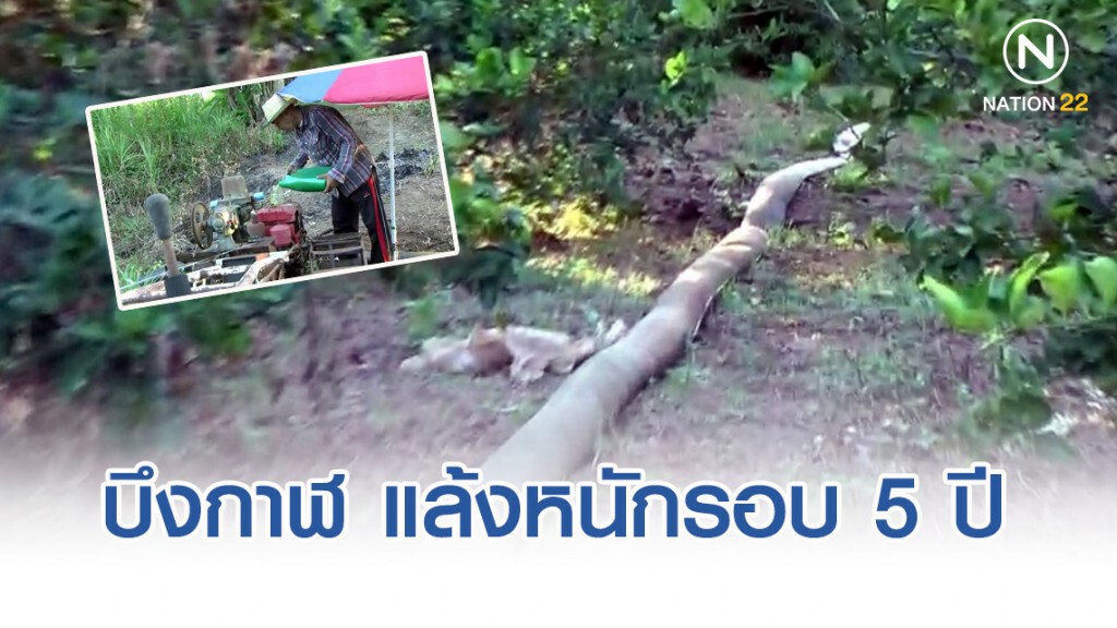 บึงกาฬ แล้งหนักรอบ 5 ปี!! ชาวนาเร่งสืบน้ำเข้านาข้าวก่อนจะยืนต้นตาย