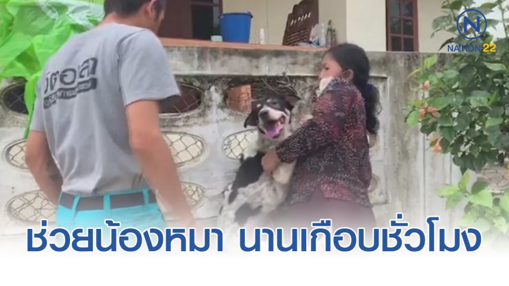 ช่วย "น้องหมา" ติดรั้วนับชั่วโมง ช่วย "น้องหมา" ติดรั้วนับชั่วโมง