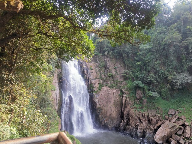 เขาใหญ่ชง​ 3​ ทางออกปมช้างตกน้ำตกเหวนรก​ ​คาดได้ข้อสรุปต้นปี​ 63​