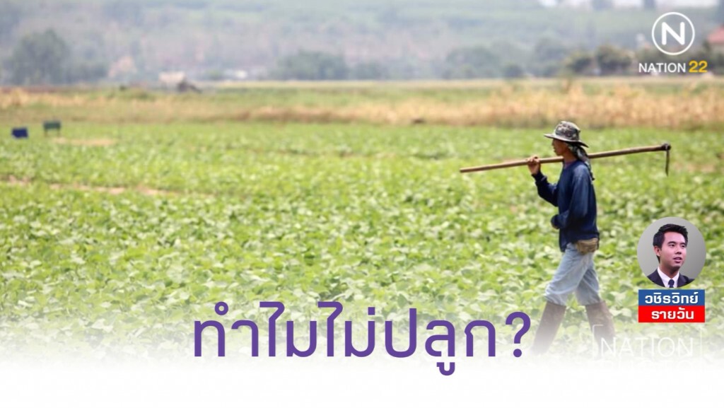 ทำไมไทยไม่ปลูกถั่วเหลือง​ ในเมื่อมีความต้องการใช้ในประเทศ?
