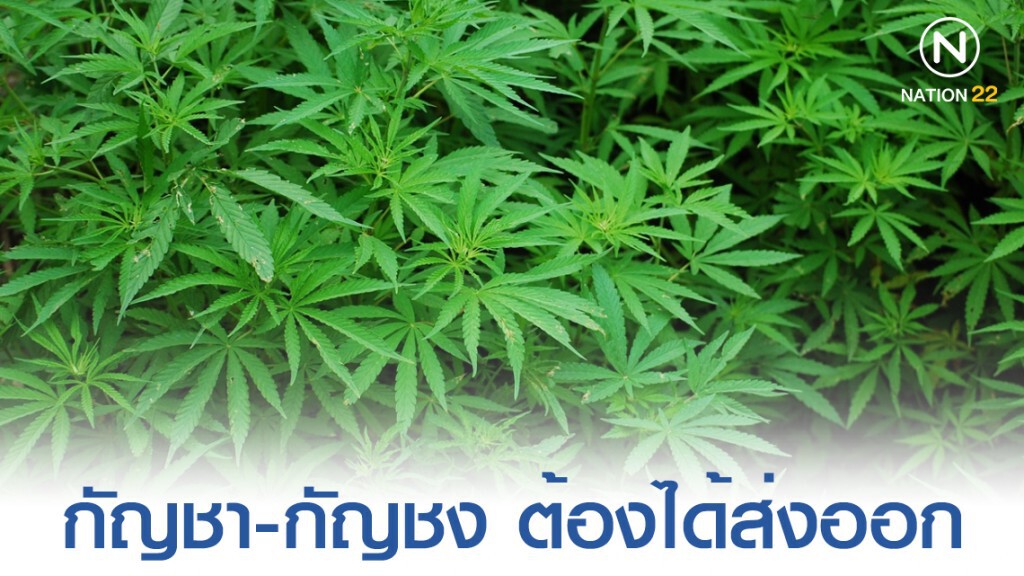 "อนุทิน" ลั่น กัญชา-กัญชง ต้องได้ส่งออกไปยุโรป "อนุทิน" ลั่น กัญชา-กัญชง ต้องได้ส่งออกไปยุโรป