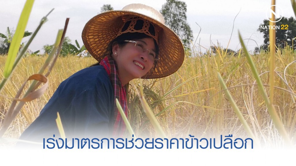 "สุดารัตน์" ขอรัฐเร่งมาตรการช่วยชาวนาถูกกดราคาข้าวเปลือก