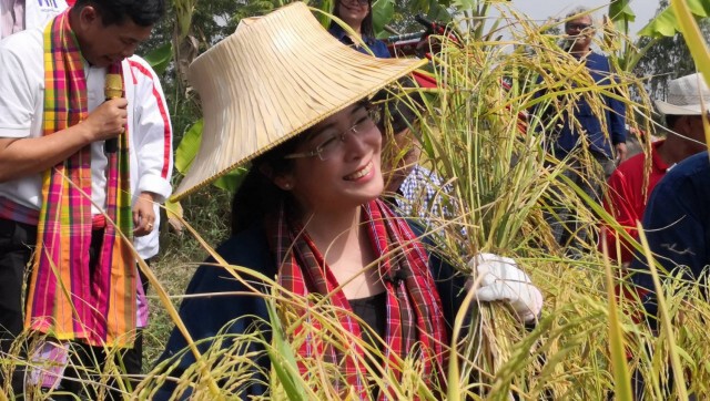 "สุดารัตน์" ขอรัฐเร่งมาตรการช่วยชาวนาถูกกดราคาข้าวเปลือก