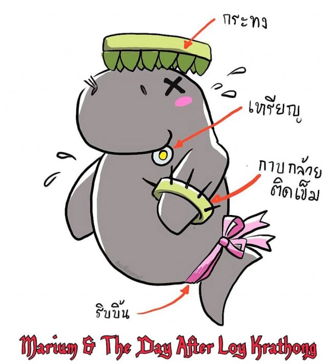 "ดร.ธรณ์" แนะการ "ลอยกระทง" ผ่านตัวละครพยูนมาเรียม