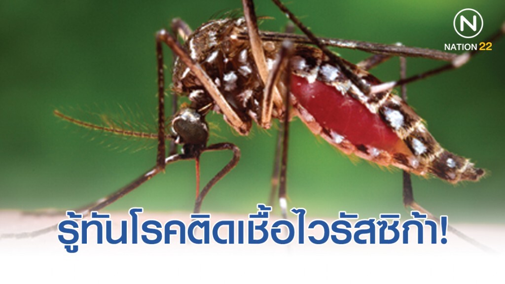 เตือน! รู้ทันโรคติดเชื้อไวรัสซิก้า