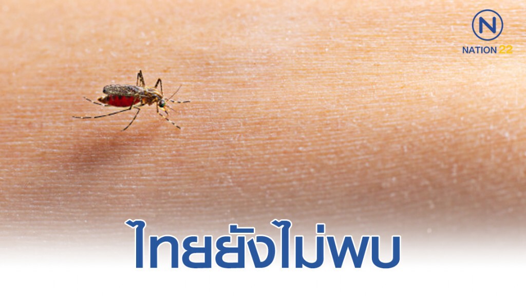 ไทยยังไม่พบผู้ป่วย "โรคไข้เลือดออก" ติดต่อผ่านมีเพศสัมพันธ์ ไทยยังไม่พบผู้ป่วย "โรคไข้เลือดออก" ติดต่อผ่านมีเพศสัมพันธ์