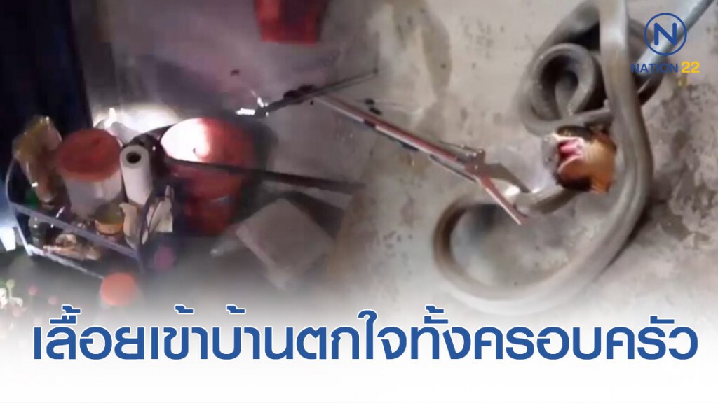 จงอางยาว 2 เมตรเลื้อยเข้าบ้าน ตกใจทั้งครอบครัว