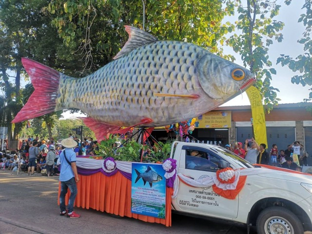 เทศกาลปลาลุ่มน้ำสงคราม ขบวนแห่หุ่นปลายักษ์ เสมือนจริงใหญ่สุดในประเทศไทย