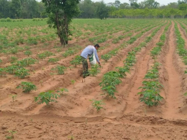 1 มกราคม 2563 ประเทศไทยจะมีการเก็บ"ภาษีที่ดิน"และ"สิ่งปลูกสร้าง"แบบใหม่