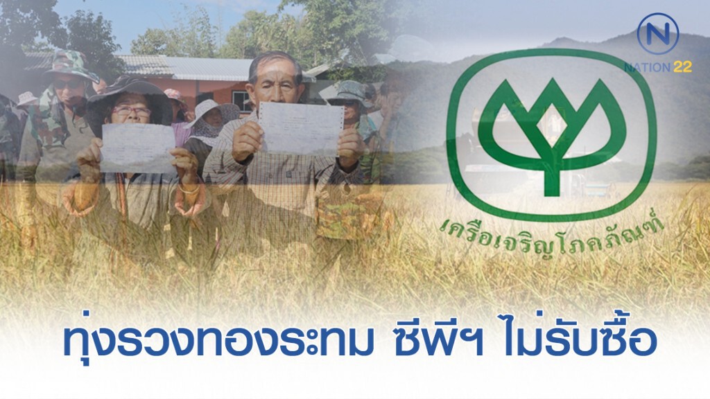 ทุ่งรวงทองระทมขาดทุนยับ ซีพีฯ ไม่รับซื้อข้าว อ้างไม่ได้มาตรฐาน ทุ่งรวงทองระทมขาดทุนยับ ซีพีฯ ไม่รับซื้อข้าว อ้างไม่ได้มาตรฐาน