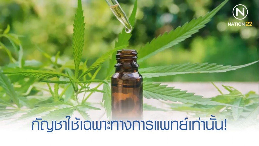 อย.ย้ำประเทศไทยให้ใช้กัญชาเฉพาะทางการแพทย์เท่านั้น!