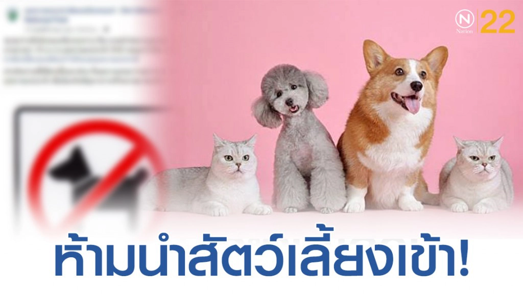 โซเชียลโพสต์กฎหมาย! ห้ามนำสัตว์เลี้ยงทุกชนิดเข้าไปในเขตอุทยานแห่งชาติ