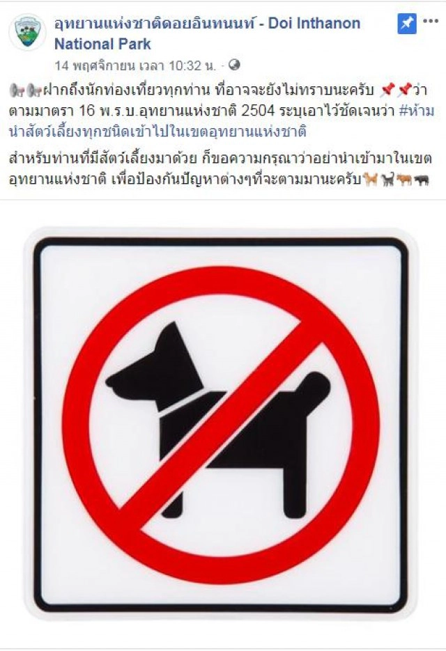 โซเชียลโพสต์กฎหมาย! ห้ามนำสัตว์เลี้ยงทุกชนิดเข้าไปในเขตอุทยานแห่งชาติ