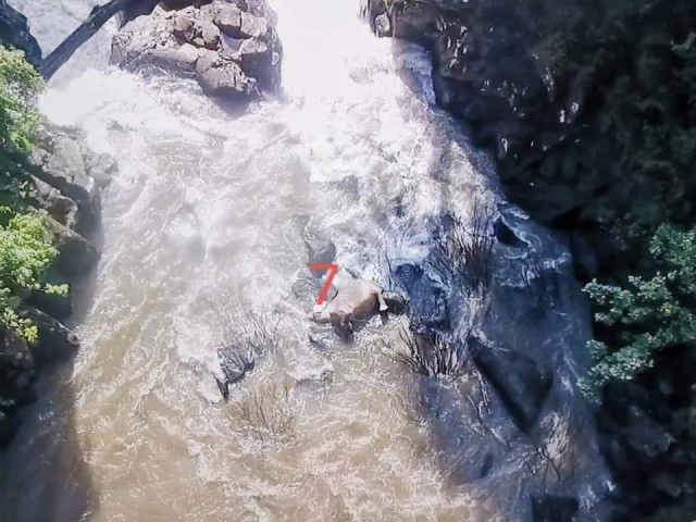 สร้างฝายชะลอน้ำ​ - ย้ายจุดบริการนักท่องเที่ยว​ แก้ช้างตกเหวนรก​​