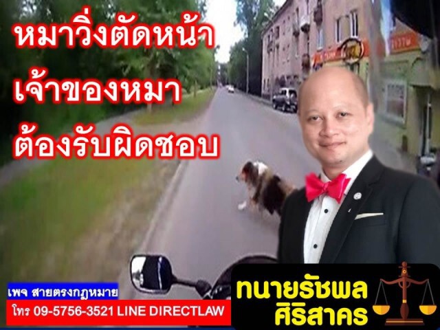 ทนายรัชพล ชี้ หมาวิ่งตัดหน้ารถ เจ้าของหมาต้องรับผิดชอบ!