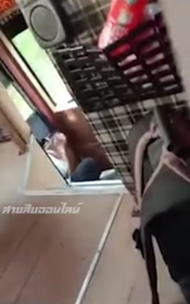 ชาวเน็ตต่างพากันวิจารณ์! พนักงานบริษัทเดินรถแห่งหนึ่ง "สูบบุหรี่" บนรถทัวร์ปรับอากาศ!