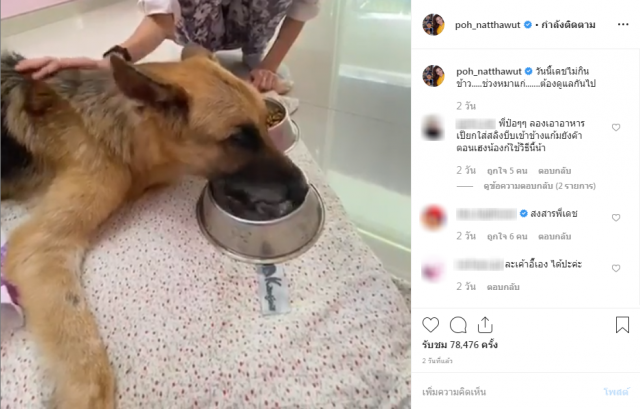 "ป๋อ ณัฐวุฒิ" โพสต์อาลัย หลังยื้อชีวิต "สุรเดช" ไม่ได้