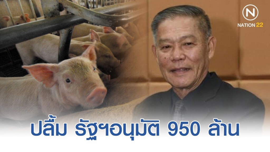 สมาคมผู้เลี้ยงสุกรฯปลื้ม รัฐฯอนุมัติ 950 ล้านช่วยเกษตรกรจากเอเอสเอฟ