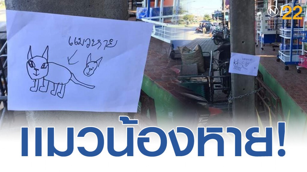 น้องเเมวหาย! ไร้ข้อมูลเลยวาดรูปให้ชาวเน็ตดู น้องเเมวหาย! ไร้ข้อมูลเลยวาดรูปให้ชาวเน็ตดู