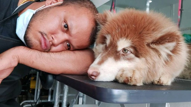 ช่างตัดขนสัตว์เมืองคอน ทำหน้าตาสุดเซ็ง เมื่อได้ถ่ายรูปกับน้องหมาสุดน่ารัก