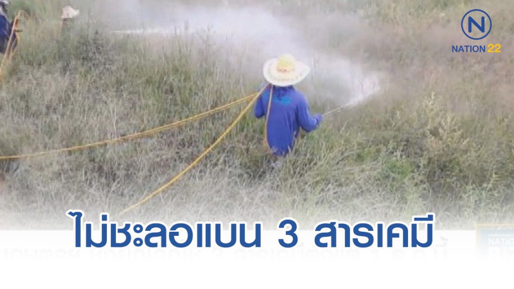 สาธารณสุข ไม่ชะลอแบน 3 สารเคมี สาธารณสุข ไม่ชะลอแบน 3 สารเคมี
