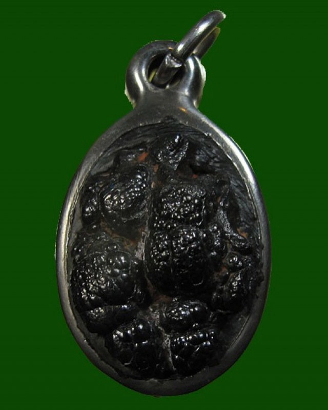 เปิดตำนาน แร่เกาะล้าน หนูน้อยรอดชีวิตปาฏิหาริย์!