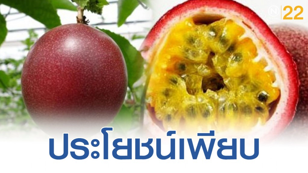 ผลไม้รสเปรี้ยวพร้อมประโยชน์เพียบ