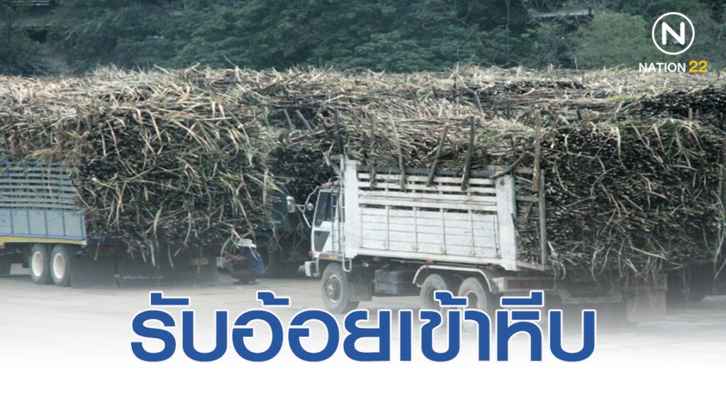 โรงงานน้ำตาลทราย เปิดรับผลผลิตอ้อยเข้าหีบ ดีเดย์ 1 ธ.ค.