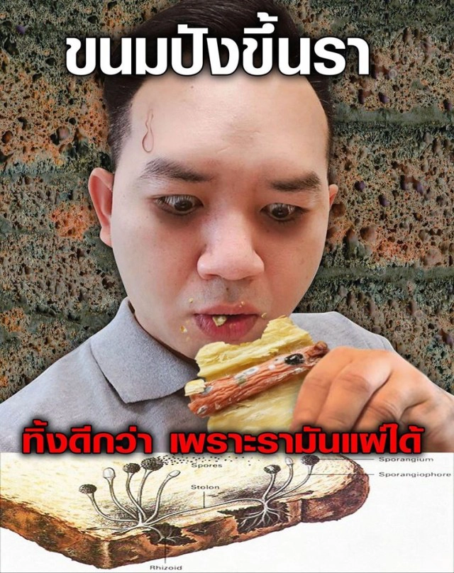 หมอแล็บแพนด้า รักนะจึงเตือน ขนมปังขึ้นรา ไม่ควรกินต่อแล้วนะจ๊ะ!