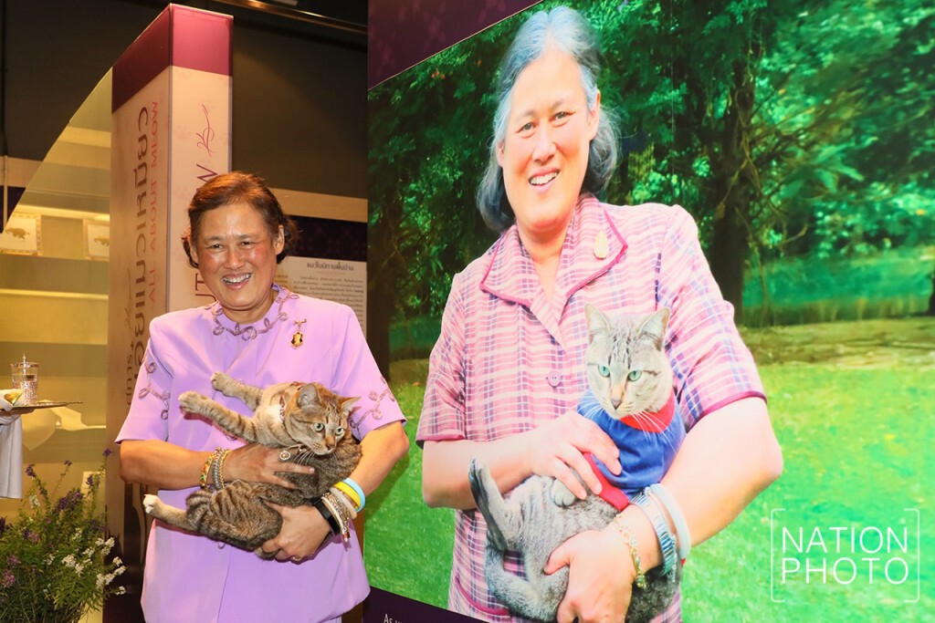 สมเด็จพระกนิษฐาธิราชเจ้าฯ เสด็จพระราชดำเนินไปทรงเปิดนิทรรศการ "แมวเอ๋ย แมวเหมียว" สมเด็จพระกนิษฐาธิราชเจ้าฯ เสด็จพระราชดำเนินไปทรงเปิดนิทรรศการ "แมวเอ๋ย แมวเหมียว"