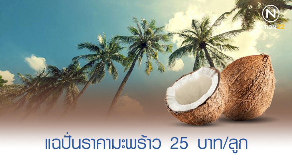 แฉปั่นเล่ห์ราคามะพร้าว 25 บาท/ลูก หวังนำเข้า