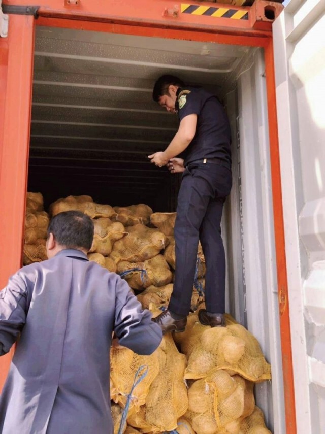 แฉปั่นเล่ห์ราคามะพร้าว 25 บาท/ลูก หวังนำเข้า