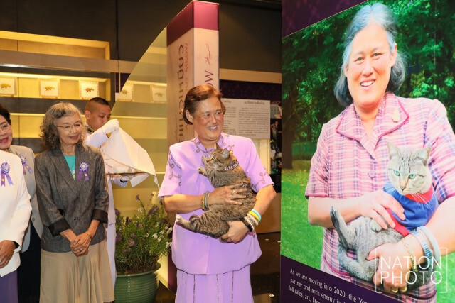 สมเด็จพระกนิษฐาธิราชเจ้าฯ เสด็จพระราชดำเนินไปทรงเปิดนิทรรศการ "แมวเอ๋ย แมวเหมียว"