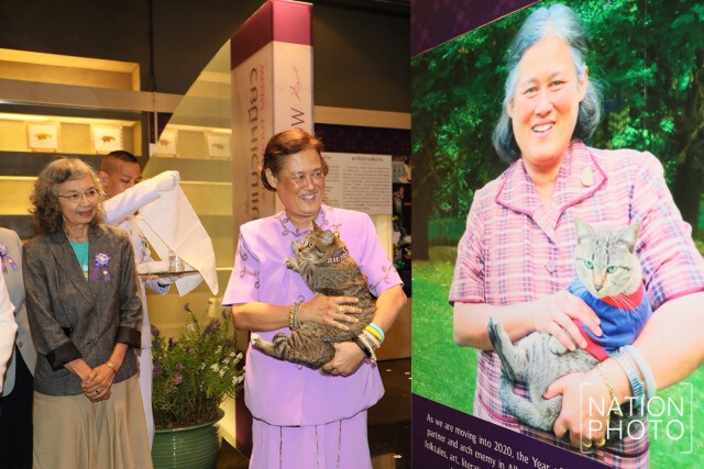 สมเด็จพระกนิษฐาธิราชเจ้าฯ เสด็จพระราชดำเนินไปทรงเปิดนิทรรศการ "แมวเอ๋ย แมวเหมียว"