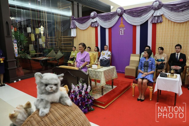 สมเด็จพระกนิษฐาธิราชเจ้าฯ เสด็จพระราชดำเนินไปทรงเปิดนิทรรศการ "แมวเอ๋ย แมวเหมียว"