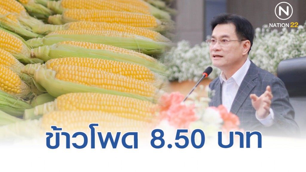ดีเดย์ 20 ธ.ค.นี้ จ่ายประกันรายได้ข้าวโพด 8.50 บาท/กก.