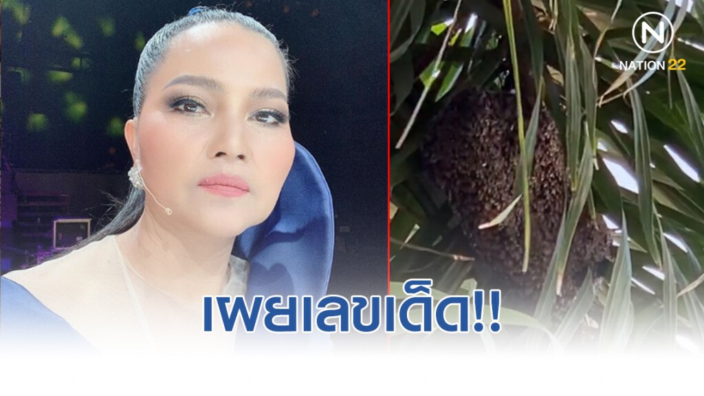 สุนารี เผยเลขเด็ด หลังมีนางพญาผึ้งมาทำรังที่บ้าน! สุนารี เผยเลขเด็ด หลังมีนางพญาผึ้งมาทำรังที่บ้าน!