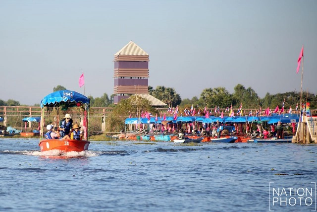 ชื่นชมความงาม "ทะเลบัวแดง"