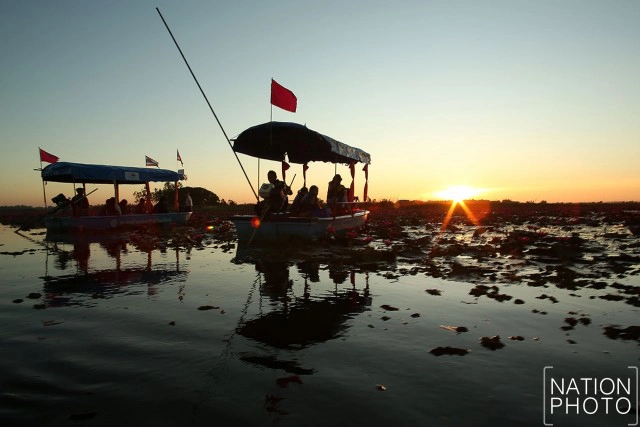 ชื่นชมความงาม "ทะเลบัวแดง"