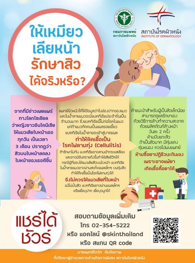 แพทย์ผิวหนังเตือนภัย อันตรายจากน้ำลายแมว