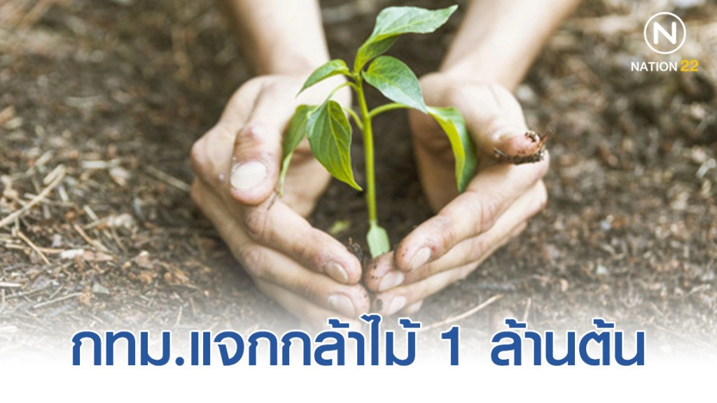 2 ธ.ค.นี้ กทม.แจกกล้าไม้ 1 ล้านต้น เพิ่มพื้นที่สีเขียวให้กรุงเทพฯ 2 ธ.ค.นี้ กทม.แจกกล้าไม้ 1 ล้านต้น เพิ่มพื้นที่สีเขียวให้กรุงเทพฯ